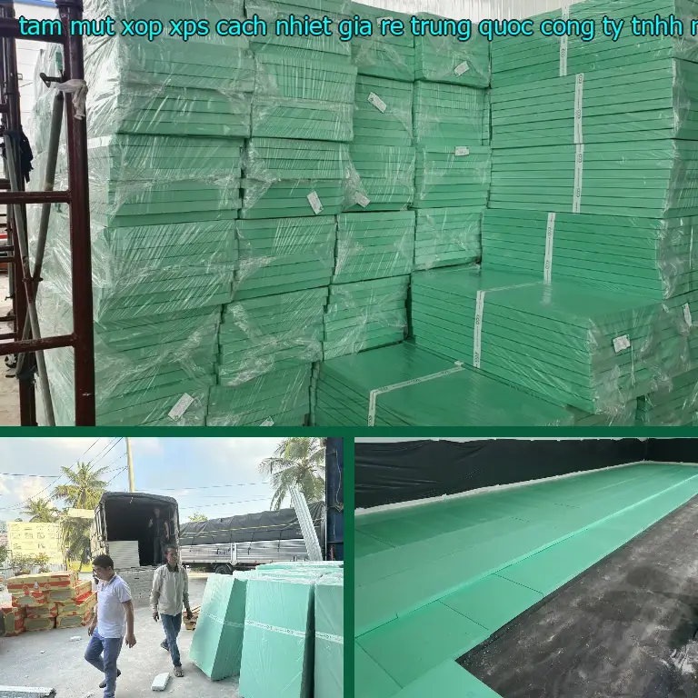 Nhà cung cấp tấm mút xốp XPS cách nhiệt giá rẻ Trung Quốc: Công ty TNHH Ngọn Hải Đăng Nhà cung cấp tấm mút xốp XPS cách nhiệt giá rẻ Trung Quốc: Công ty TNHH Ngọn Hải Đăng