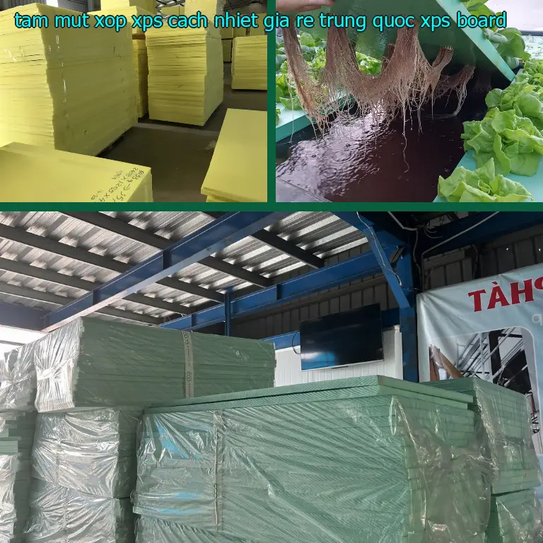 Danh mục tấm mút xốp XPS cách nhiệt giá rẻ Trung Quốc: XPS Board Danh mục tấm mút xốp XPS cách nhiệt giá rẻ Trung Quốc: XPS Board