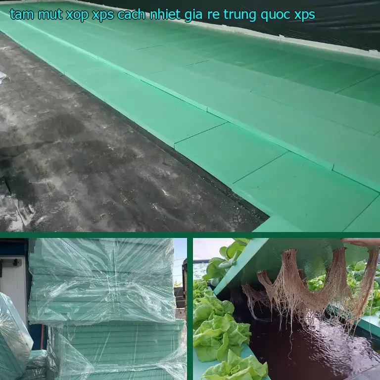 Chất liệu tấm mút xốp XPS cách nhiệt giá rẻ Trung Quốc: XPS Chất liệu tấm mút xốp XPS cách nhiệt giá rẻ Trung Quốc: XPS