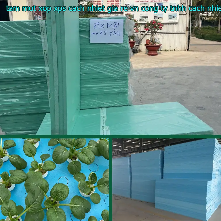 Nhà sản xuất tấm mút xốp XPS cách nhiệt giá rẻ VN: Công ty TNHH cách nhiệt Thịnh Phát Nhà sản xuất tấm mút xốp XPS cách nhiệt giá rẻ VN: Công ty TNHH cách nhiệt Thịnh Phát