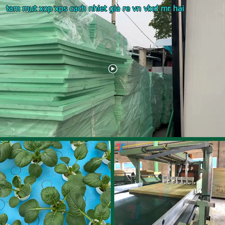 Nhà cung cấp tấm mút xốp XPS cách nhiệt giá rẻ VN: VLXD Mr.HẢI Nhà cung cấp tấm mút xốp XPS cách nhiệt giá rẻ VN: VLXD Mr.HẢI