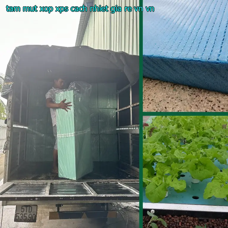 Xuất xứ tấm mút xốp XPS cách nhiệt giá rẻ VN: VN Xuất xứ tấm mút xốp XPS cách nhiệt giá rẻ VN: VN