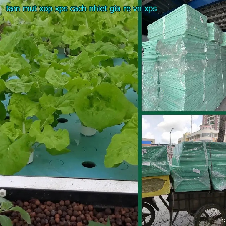 Chất liệu tấm mút xốp XPS cách nhiệt giá rẻ VN: XPS Chất liệu tấm mút xốp XPS cách nhiệt giá rẻ VN: XPS