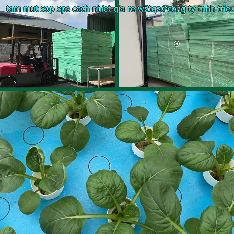Nhà sản xuất tấm mút xốp XPS cách nhiệt giá rẻ W2TQZD: Công ty TNHH Triệu Hổ Nhà sản xuất tấm mút xốp XPS cách nhiệt giá rẻ W2TQZD: Công ty TNHH Triệu Hổ