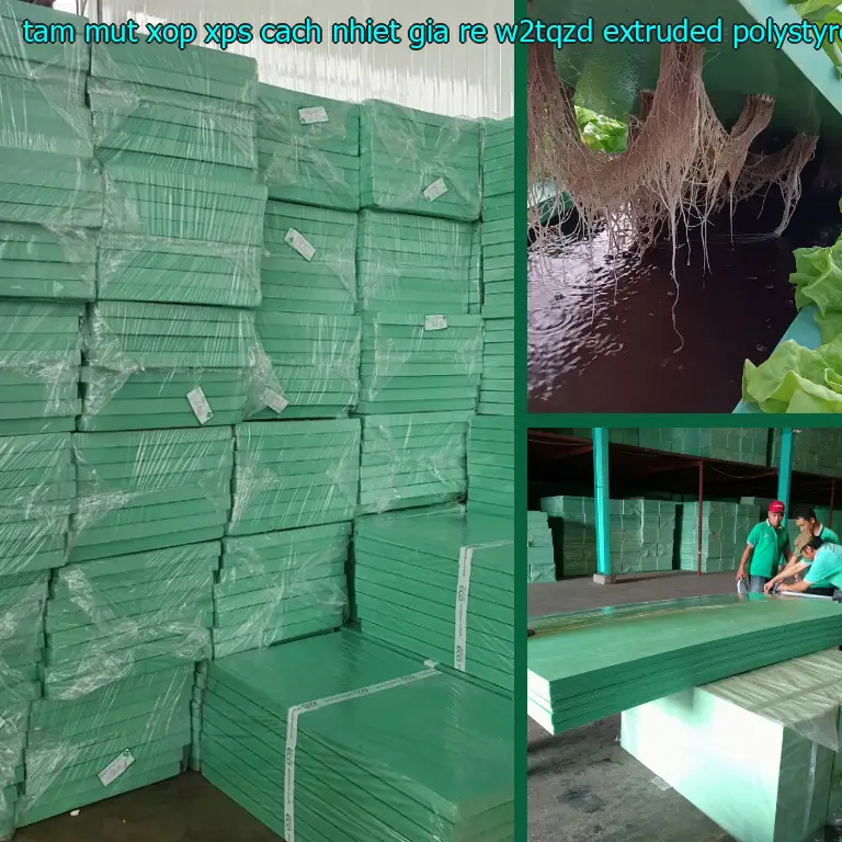 Chất liệu tấm mút xốp XPS cách nhiệt giá rẻ W2TQZD: Extruded Polystyrene Foam Chất liệu tấm mút xốp XPS cách nhiệt giá rẻ W2TQZD: Extruded Polystyrene Foam