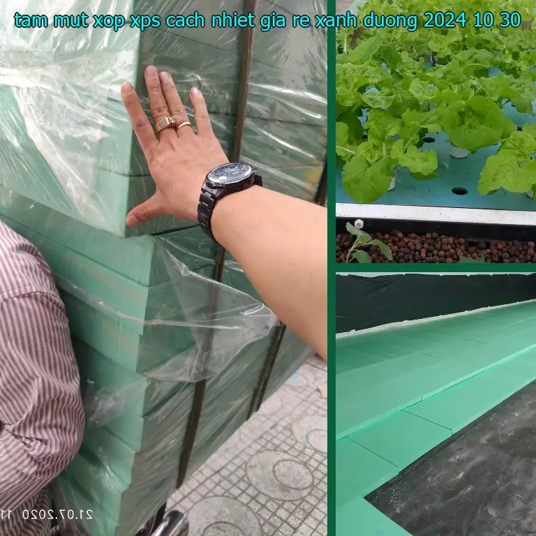 Ngày sản xuất tấm mút xốp XPS cách nhiệt giá rẻ Xanh dương: 2024-10-30 Ngày sản xuất tấm mút xốp XPS cách nhiệt giá rẻ Xanh dương: 2024-10-30