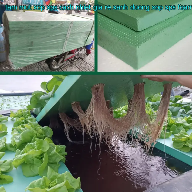 Danh mục tấm mút xốp XPS cách nhiệt giá rẻ Xanh dương: Xốp XPS Foam Danh mục tấm mút xốp XPS cách nhiệt giá rẻ Xanh dương: Xốp XPS Foam