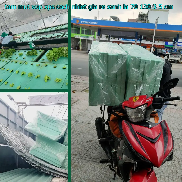 Kích thước tấm mút xốp XPS cách nhiệt giá rẻ Xanh lá: 70*130*3.5 cm Kích thước tấm mút xốp XPS cách nhiệt giá rẻ Xanh lá: 70*130*3.5 cm