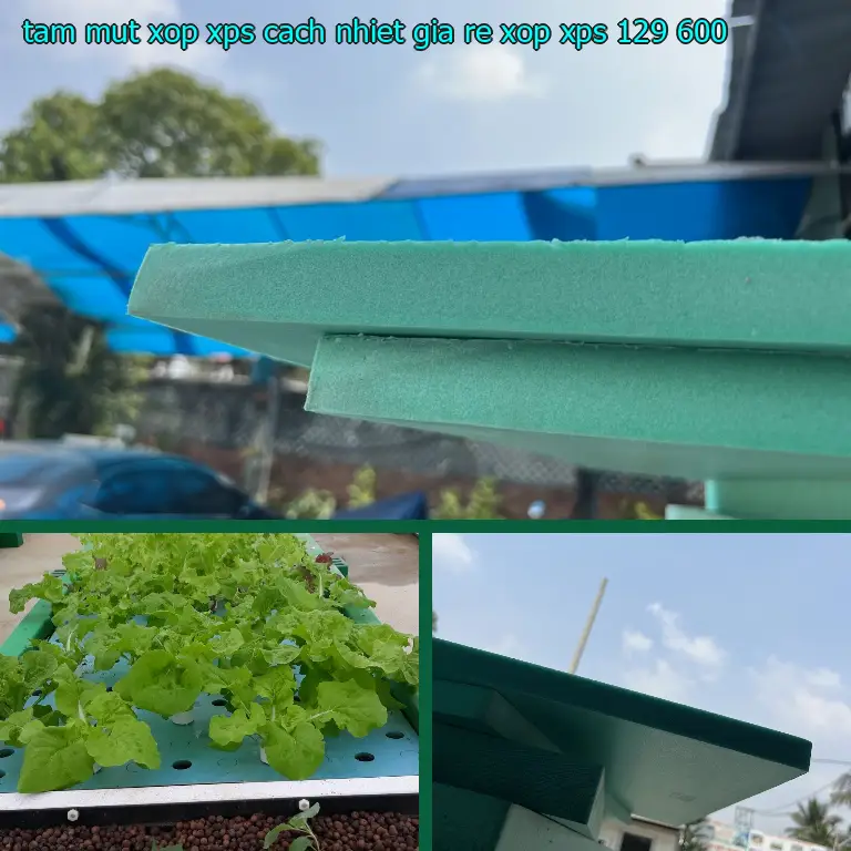 Đơn giá tấm mút xốp XPS cách nhiệt giá rẻ Xốp XPS: 129.600₫