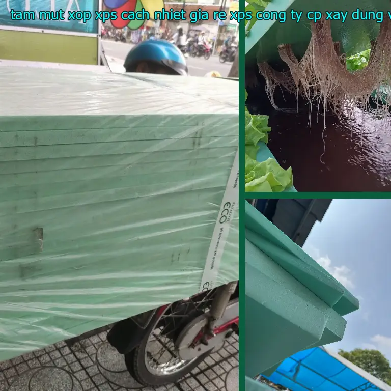 Nhà sản xuất tấm mút xốp XPS cách nhiệt giá rẻ XPS: Công ty CP xây dựng và nội thất Remak Nhà sản xuất tấm mút xốp XPS cách nhiệt giá rẻ XPS: Công ty CP xây dựng và nội thất Remak