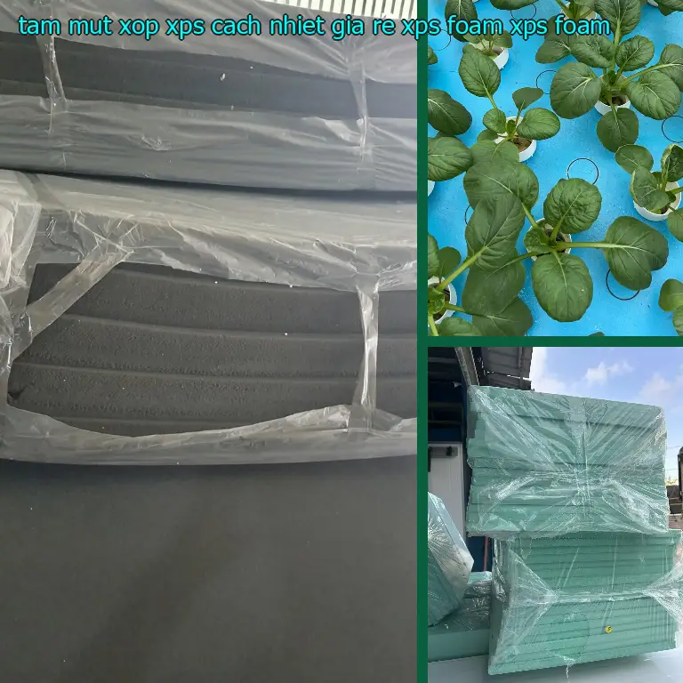 Danh mục tấm mút xốp XPS cách nhiệt giá rẻ XPS Foam: XPS Foam Danh mục tấm mút xốp XPS cách nhiệt giá rẻ XPS Foam: XPS Foam