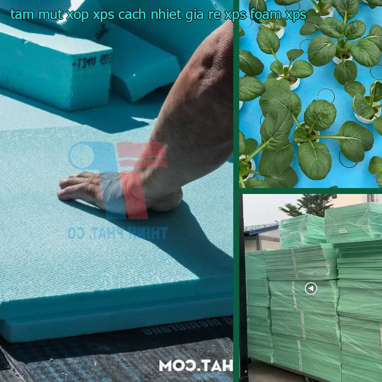 Chất liệu tấm mút xốp XPS cách nhiệt giá rẻ XPS Foam: XPS Chất liệu tấm mút xốp XPS cách nhiệt giá rẻ XPS Foam: XPS