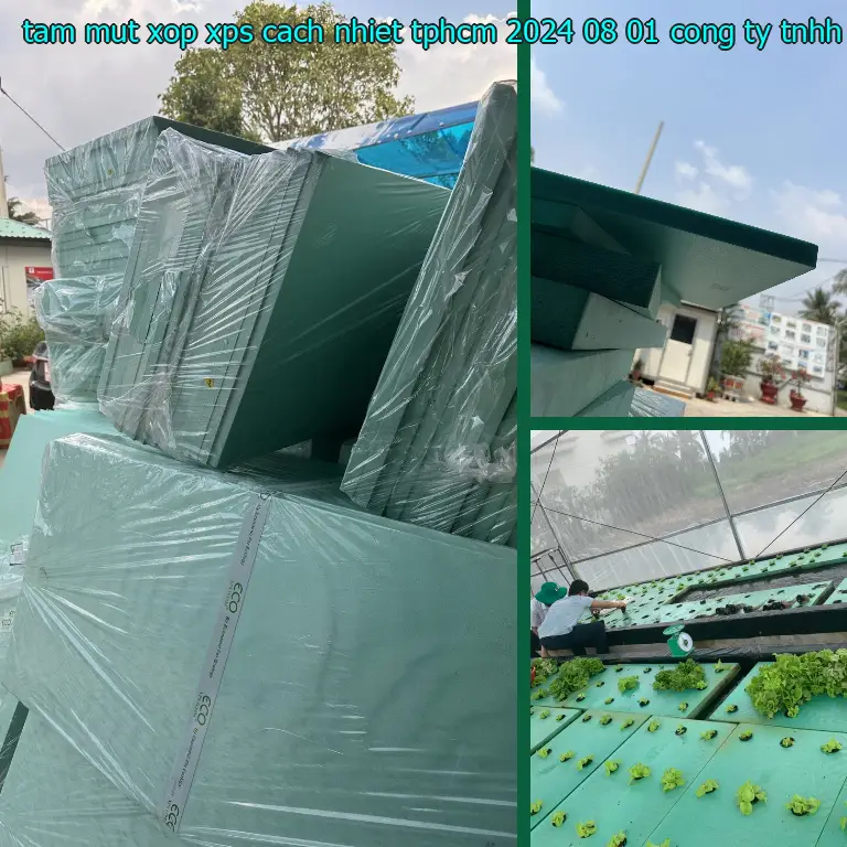 Nhà cung cấp tấm mút xốp XPS cách nhiệt TpHCM 2024-08-01: Công ty TNHH Ngọn Hải Đăng