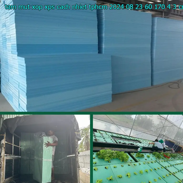 Kích thước tấm mút xốp XPS cách nhiệt TpHCM 2024-08-23: 60*170*4.3 cm Kích thước tấm mút xốp XPS cách nhiệt TpHCM 2024-08-23: 60*170*4.3 cm