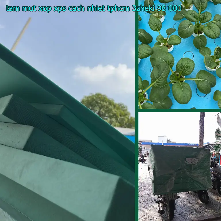 Giá tấm mút xốp XPS cách nhiệt TpHCM 3ZHEKI: 98.000₫ Giá tấm mút xốp XPS cách nhiệt TpHCM 3ZHEKI: 98.000₫