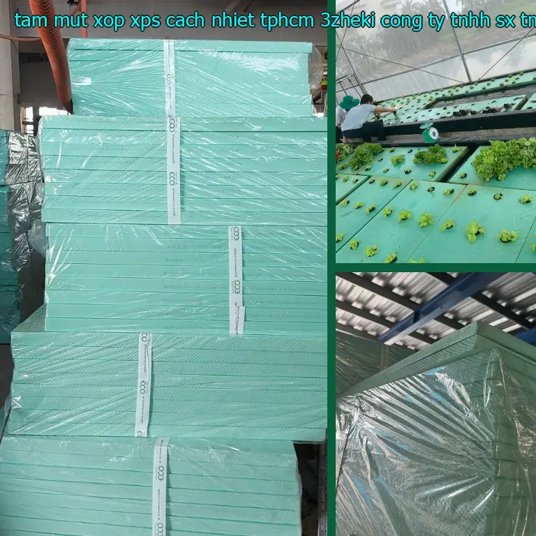 Nhà sản xuất tấm mút xốp XPS cách nhiệt TpHCM 3ZHEKI: Công ty TNHH SX TM và đầu tư Tiến Phong Nhà sản xuất tấm mút xốp XPS cách nhiệt TpHCM 3ZHEKI: Công ty TNHH SX TM và đầu tư Tiến Phong