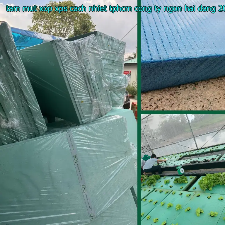 Ngày sản xuất tấm mút xốp XPS cách nhiệt TpHCM Công ty Ngọn Hải Đăng: 2025-03-05 Ngày sản xuất tấm mút xốp XPS cách nhiệt TpHCM Công ty Ngọn Hải Đăng: 2025-03-05