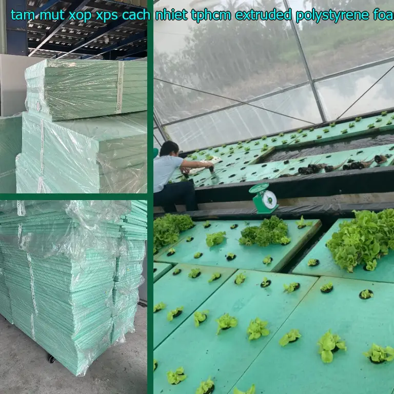 Nhà sản xuất tấm mút xốp XPS cách nhiệt TpHCM Extruded Polystyrene Foam: Công ty tấm xốp MatHome Nhà sản xuất tấm mút xốp XPS cách nhiệt TpHCM Extruded Polystyrene Foam: Công ty tấm xốp MatHome