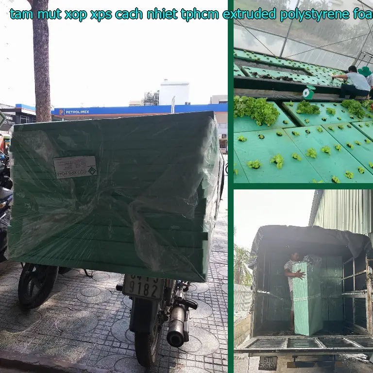 Chất liệu tấm mút xốp XPS cách nhiệt TpHCM Extruded Polystyrene Foam: Extruded Polystyrene Foam Chất liệu tấm mút xốp XPS cách nhiệt TpHCM Extruded Polystyrene Foam: Extruded Polystyrene Foam