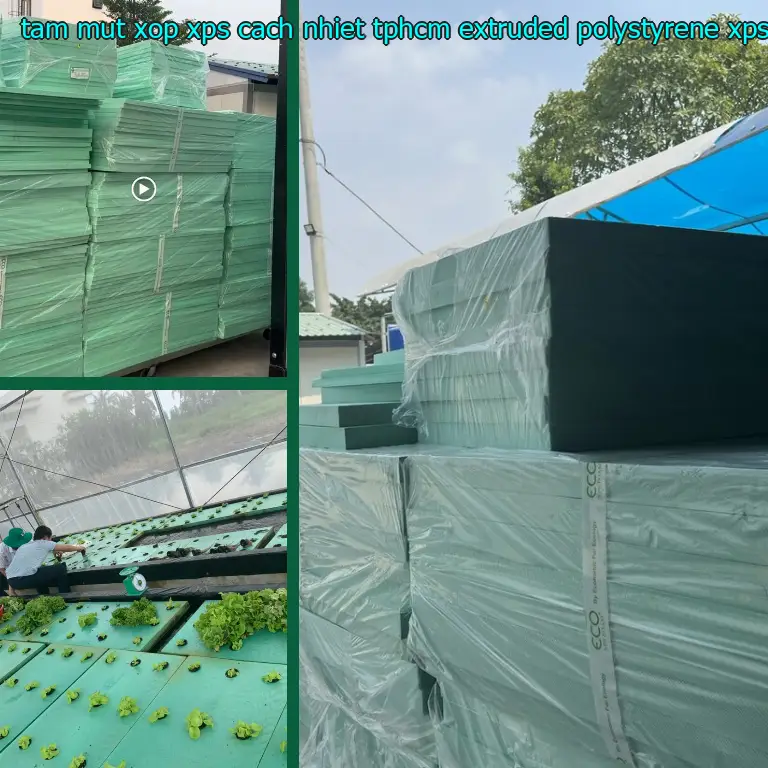 Danh mục tấm mút xốp XPS cách nhiệt TpHCM Extruded Polystyrene: XPS Foam Board Danh mục tấm mút xốp XPS cách nhiệt TpHCM Extruded Polystyrene: XPS Foam Board