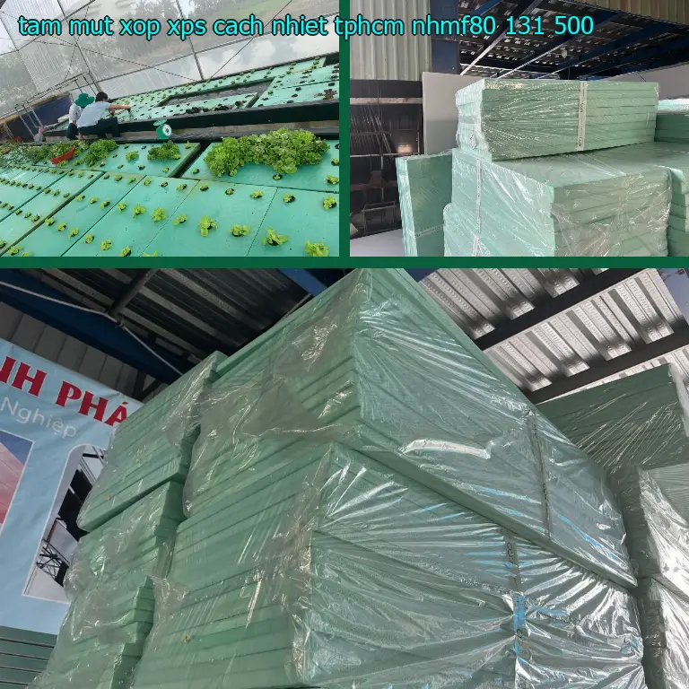 Giá tấm mút xốp XPS cách nhiệt TpHCM NHMF80: 131.500₫ Giá tấm mút xốp XPS cách nhiệt TpHCM NHMF80: 131.500₫