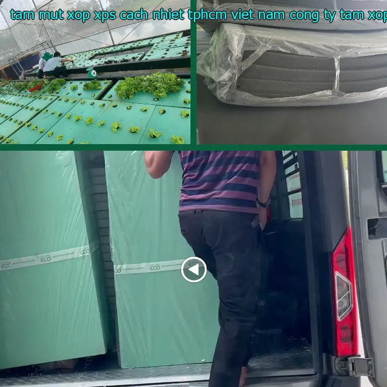 Nhà sản xuất tấm mút xốp XPS cách nhiệt TpHCM Việt Nam: Công ty tấm xốp MatHome Nhà sản xuất tấm mút xốp XPS cách nhiệt TpHCM Việt Nam: Công ty tấm xốp MatHome