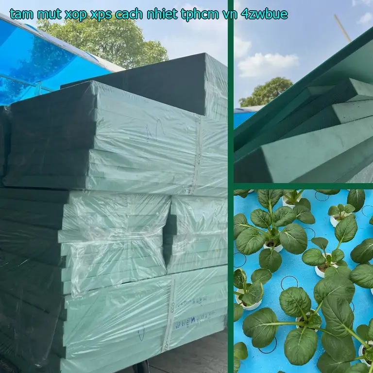 Model tấm mút xốp XPS cách nhiệt TpHCM VN: 4ZWBUE Model tấm mút xốp XPS cách nhiệt TpHCM VN: 4ZWBUE
