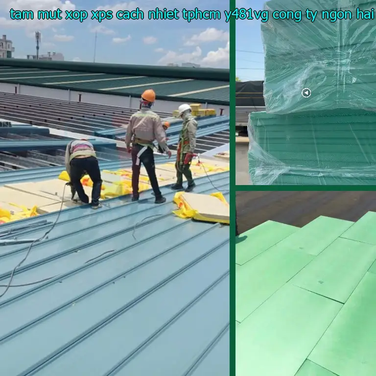 Nhà cung cấp tấm mút xốp XPS cách nhiệt TpHCM Y481VG: Công ty Ngọn Hải Đăng Nhà cung cấp tấm mút xốp XPS cách nhiệt TpHCM Y481VG: Công ty Ngọn Hải Đăng
