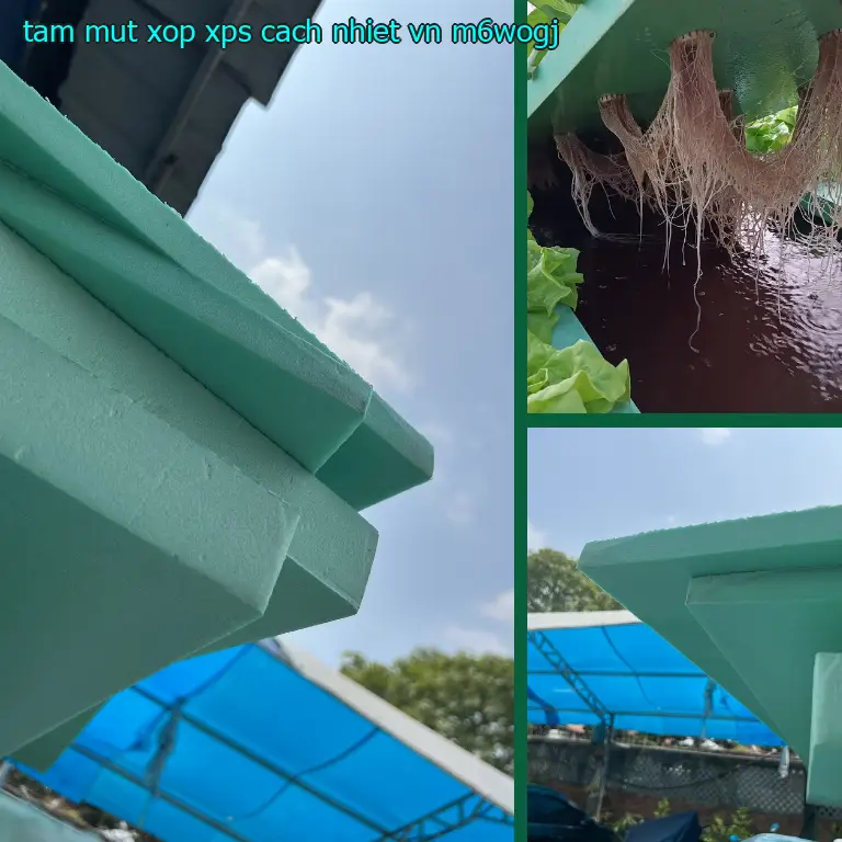 Model tấm mút xốp XPS cách nhiệt VN: M6WOGJ Model tấm mút xốp XPS cách nhiệt VN: M6WOGJ