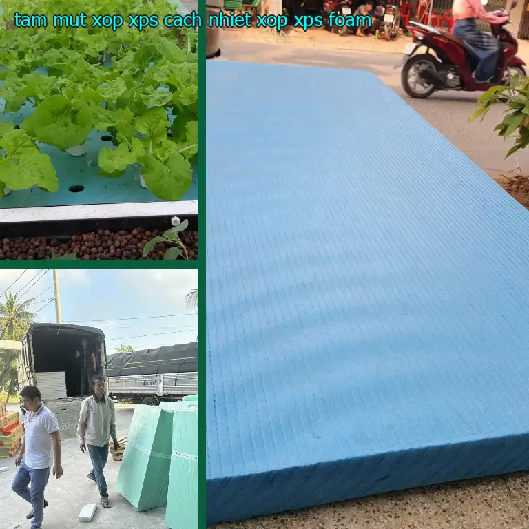 Tấm mút xốp XPS cách nhiệt Xốp XPS Foam
