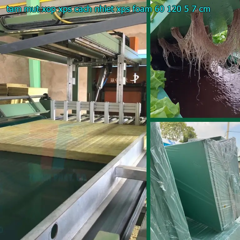 Kích thước tấm mút xốp XPS cách nhiệt XPS Foam: 60*120*5.7 cm Kích thước tấm mút xốp XPS cách nhiệt XPS Foam: 60*120*5.7 cm