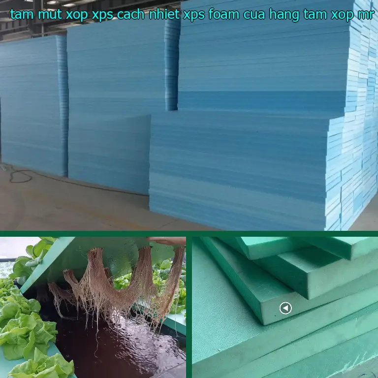 Nhà cung cấp tấm mút xốp XPS cách nhiệt XPS Foam: Cửa hàng tấm xốp Mr.HẢI Nhà cung cấp tấm mút xốp XPS cách nhiệt XPS Foam: Cửa hàng tấm xốp Mr.HẢI