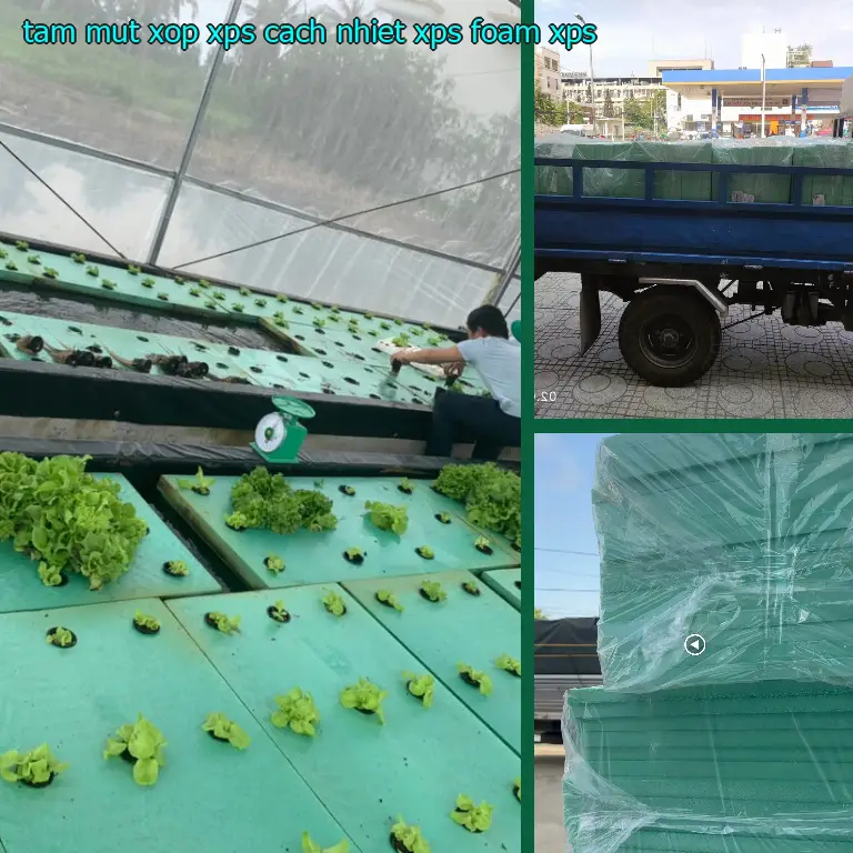 Chất liệu tấm mút xốp XPS cách nhiệt XPS Foam: XPS Chất liệu tấm mút xốp XPS cách nhiệt XPS Foam: XPS