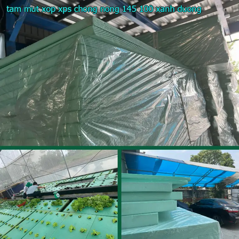 Màu sắc tấm mút xốp XPS chống nóng 145.100₫: Xanh dương Màu sắc tấm mút xốp XPS chống nóng 145.100₫: Xanh dương