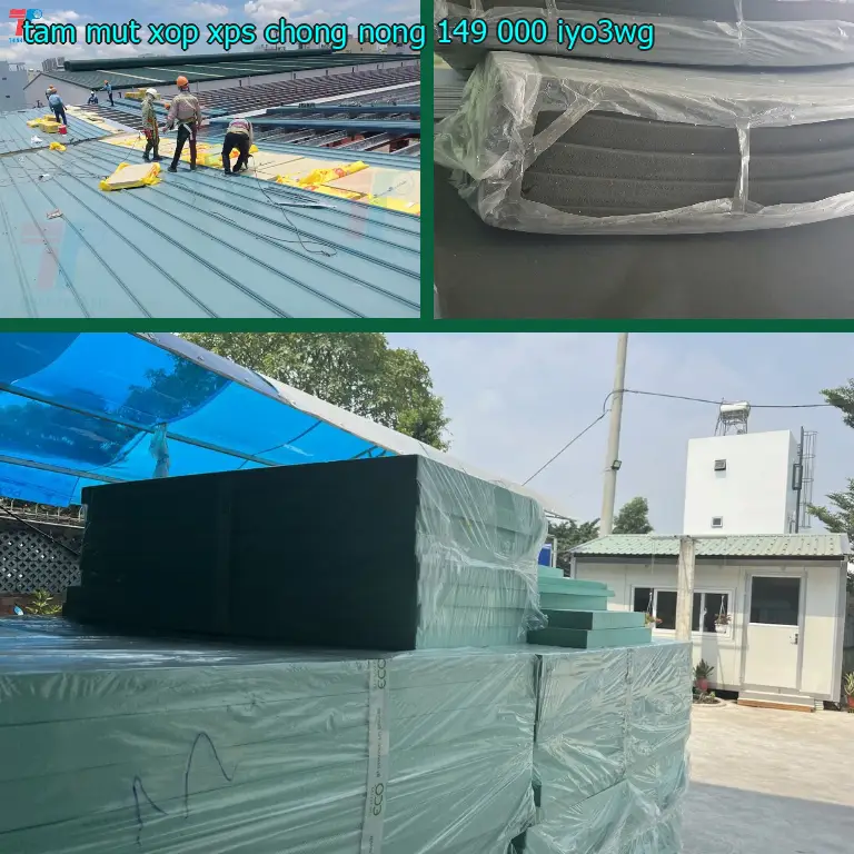 Model tấm mút xốp XPS chống nóng 149.000₫: IYO3WG Model tấm mút xốp XPS chống nóng 149.000₫: IYO3WG