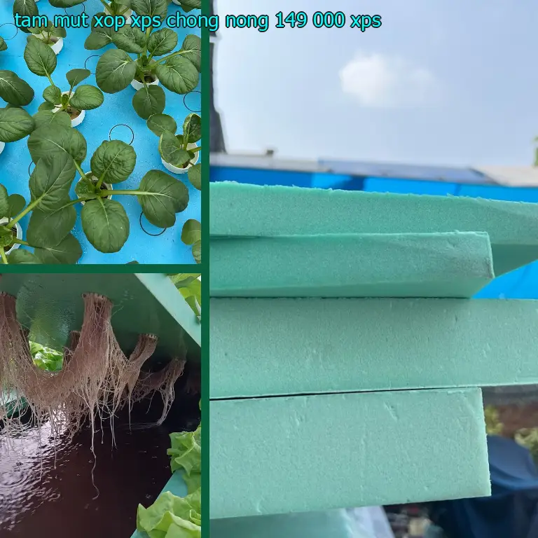 Chất liệu tấm mút xốp XPS chống nóng 149.000₫: XPS Chất liệu tấm mút xốp XPS chống nóng 149.000₫: XPS