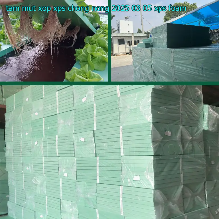 Danh mục tấm mút xốp XPS chống nóng 2025-03-05: XPS Foam