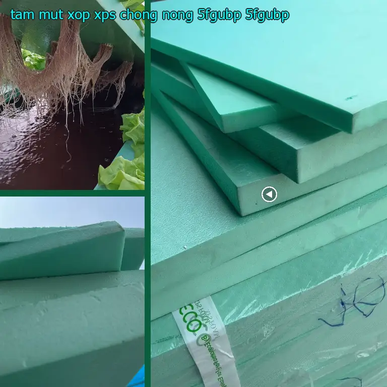 Model tấm mút xốp XPS chống nóng 5FGUBP: 5FGUBP Model tấm mút xốp XPS chống nóng 5FGUBP: 5FGUBP