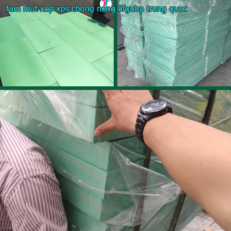 Xuất xứ tấm mút xốp XPS chống nóng 5FGUBP: Trung Quốc Xuất xứ tấm mút xốp XPS chống nóng 5FGUBP: Trung Quốc