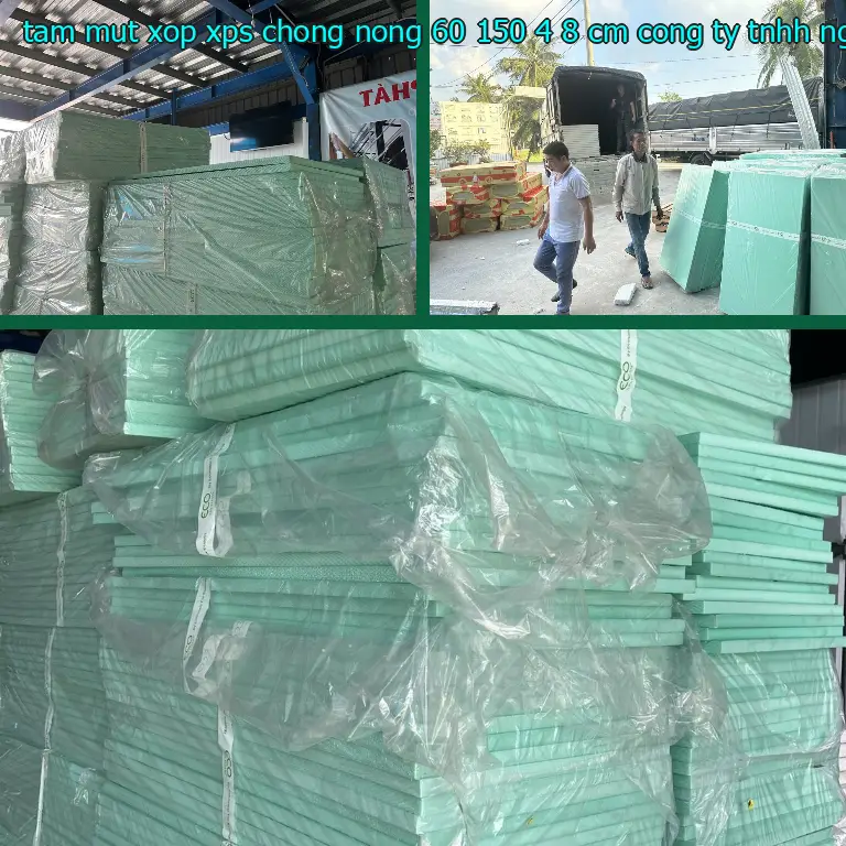 Nhà cung cấp tấm mút xốp XPS chống nóng 60*150*4.8 cm: Công ty TNHH Ngọn Hải Đăng Nhà cung cấp tấm mút xốp XPS chống nóng 60*150*4.8 cm: Công ty TNHH Ngọn Hải Đăng