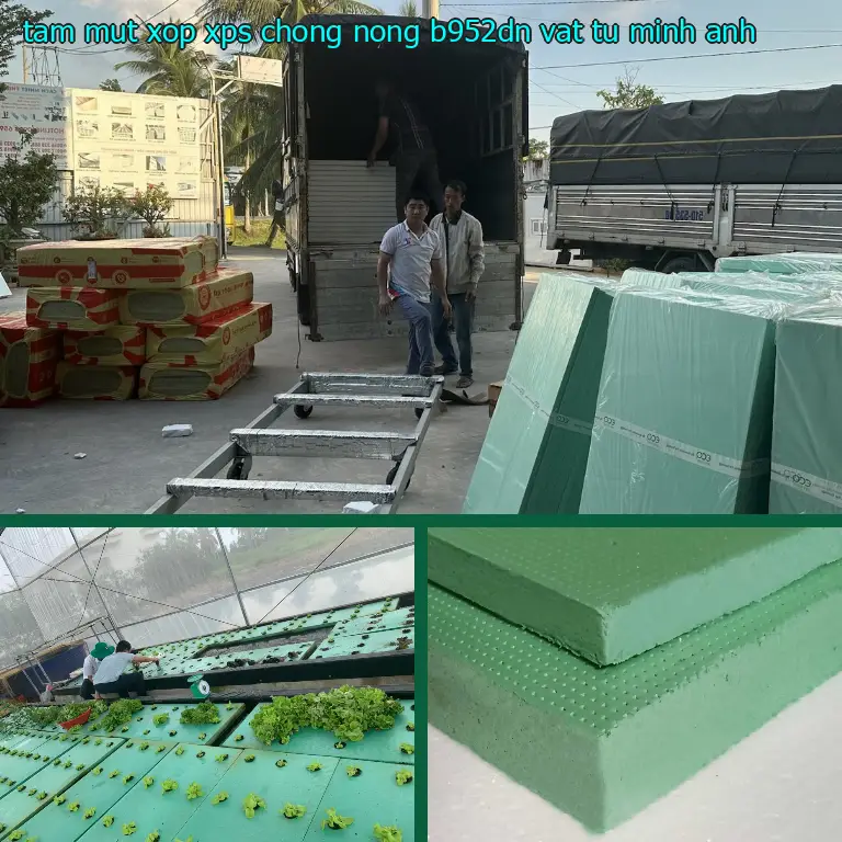 Nhà sản xuất tấm mút xốp XPS chống nóng B952DN: Vật tư Minh Anh