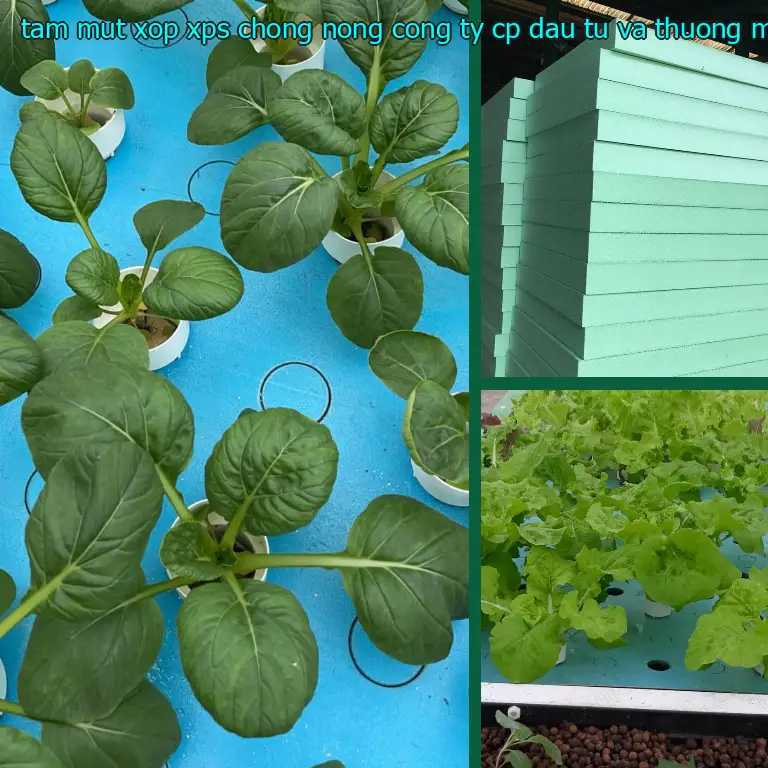 Nhà sản xuất tấm mút xốp XPS chống nóng Công ty CP đầu tư và thương mại AK Việt Nam: Công ty CP đầu tư và thương mại AK Việt Nam