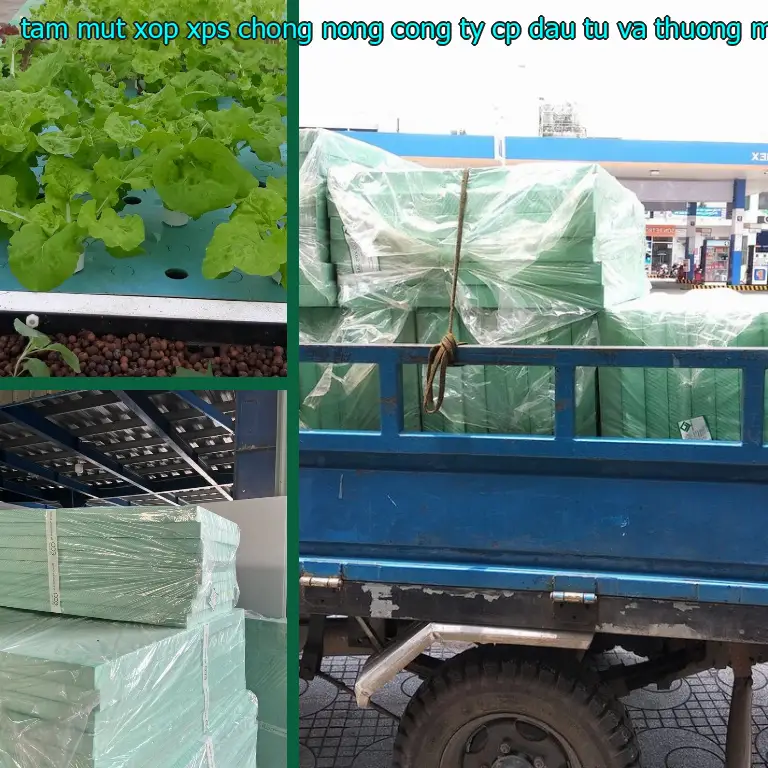 Màu sắc tấm mút xốp XPS chống nóng Công ty CP đầu tư và thương mại AK Việt Nam: Xanh dương