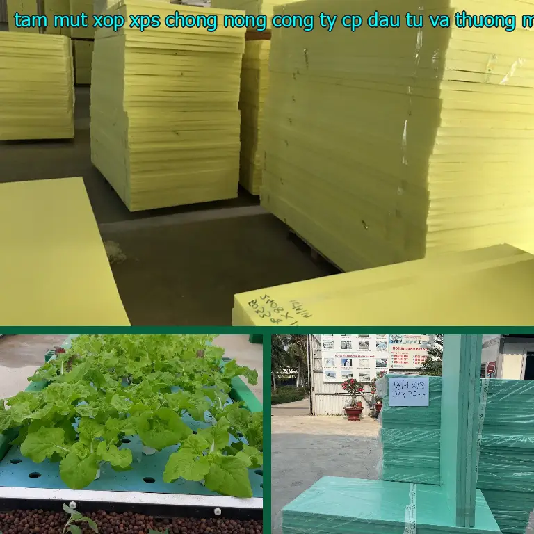 Danh mục tấm mút xốp XPS chống nóng Công ty CP đầu tư và thương mại AK Việt Nam: XPS Foam Board