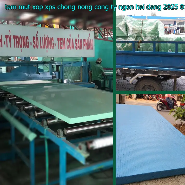 Ngày sản xuất tấm mút xốp XPS chống nóng Công ty Ngọn Hải Đăng: 2025-01-19 Ngày sản xuất tấm mút xốp XPS chống nóng Công ty Ngọn Hải Đăng: 2025-01-19