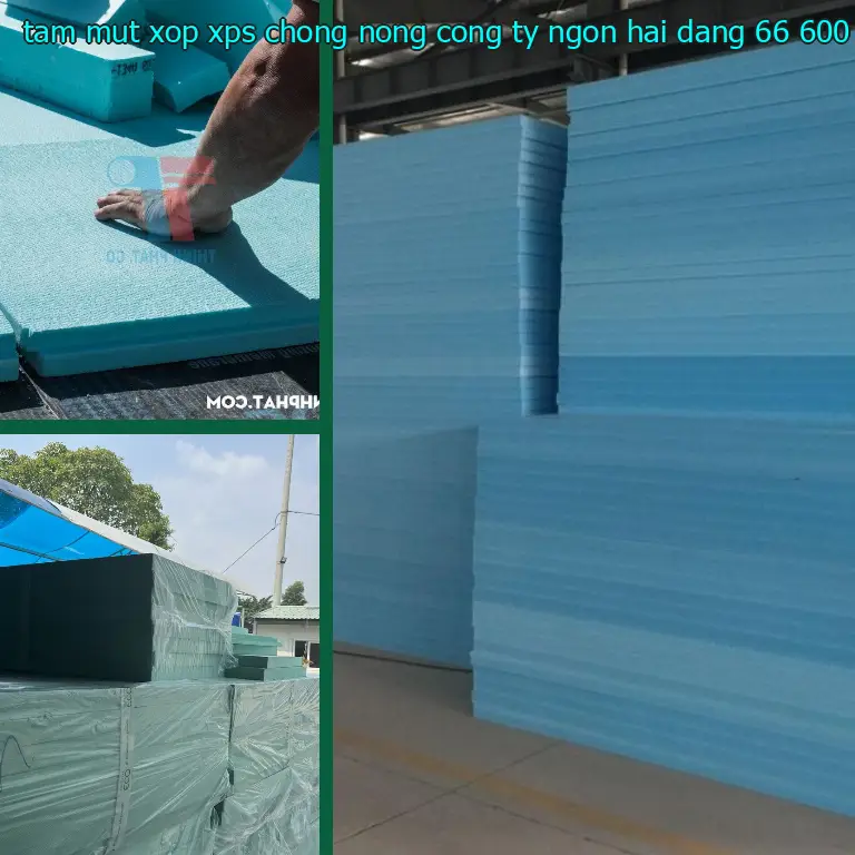 Đơn giá tấm mút xốp XPS chống nóng Công ty Ngọn Hải Đăng: 66.600₫ Đơn giá tấm mút xốp XPS chống nóng Công ty Ngọn Hải Đăng: 66.600₫
