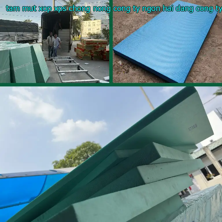 Nhà cung cấp tấm mút xốp XPS chống nóng Công ty Ngọn Hải Đăng: Công ty Ngọn Hải Đăng Nhà cung cấp tấm mút xốp XPS chống nóng Công ty Ngọn Hải Đăng: Công ty Ngọn Hải Đăng
