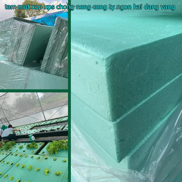 Màu sắc tấm mút xốp XPS chống nóng Công ty Ngọn Hải Đăng: Vàng Màu sắc tấm mút xốp XPS chống nóng Công ty Ngọn Hải Đăng: Vàng