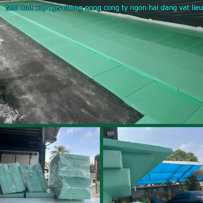 Nhà sản xuất tấm mút xốp XPS chống nóng Công ty Ngọn Hải Đăng: Vật liệu cách âm cách nhiệt Cát Tường Nhà sản xuất tấm mút xốp XPS chống nóng Công ty Ngọn Hải Đăng: Vật liệu cách âm cách nhiệt Cát Tường