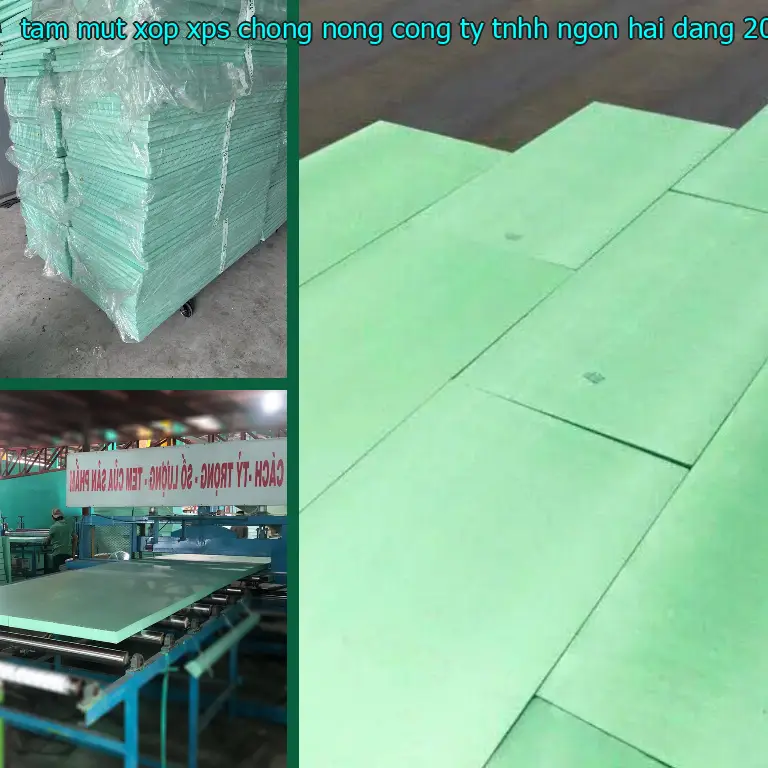 Ngày sản xuất tấm mút xốp XPS chống nóng Công ty TNHH Ngọn Hải Đăng: 2025-05-09 Ngày sản xuất tấm mút xốp XPS chống nóng Công ty TNHH Ngọn Hải Đăng: 2025-05-09
